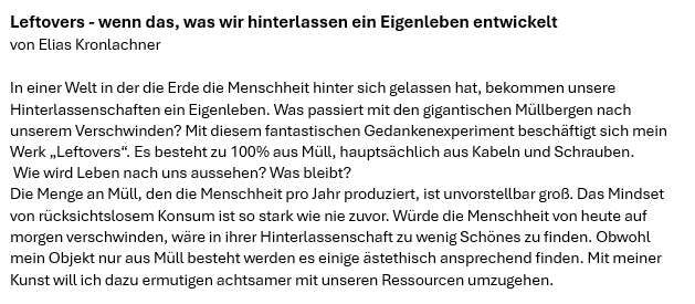 Young at Art - Elias aus Linz-Land