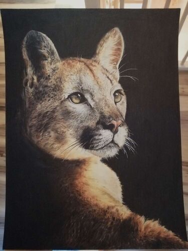 Young at Art - Vanessa aus Ried