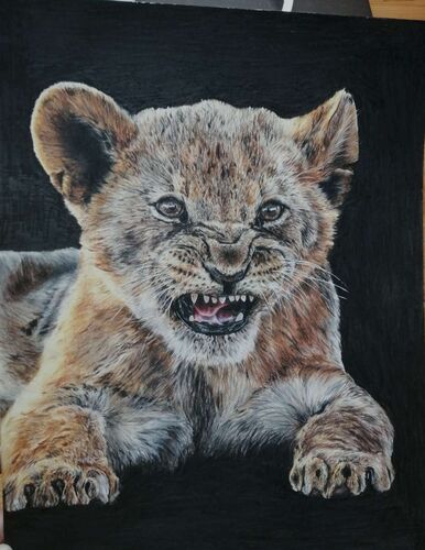 Young at Art - Vanessa aus Ried