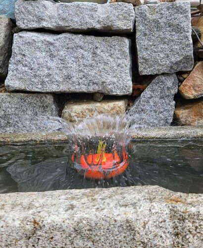 Young at Art - Lisa aus Rohrbach