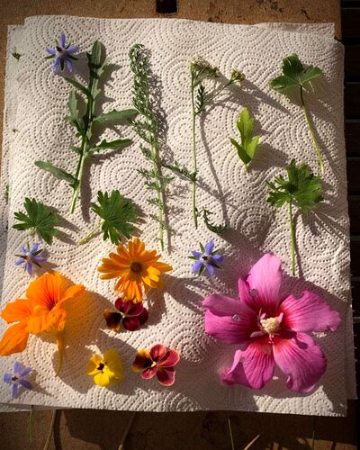 Young at Art - Magdalena aus Eferding