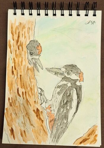 Young at Art - Constantin aus Ried