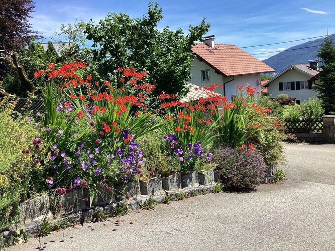 Young at Art - Katharina aus Gmunden