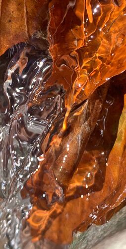 Young at Art - Isabella aus Gmunden