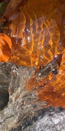 Young at Art - Isabella aus Gmunden