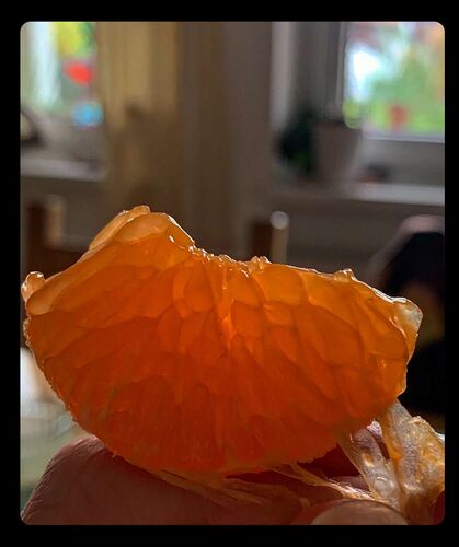 Young at Art - Isabella aus Gmunden