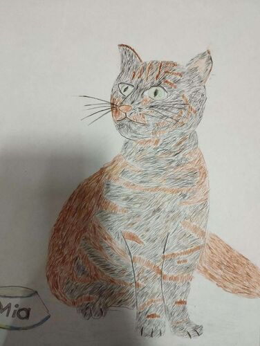 Young at Art - Angelina aus Braunau