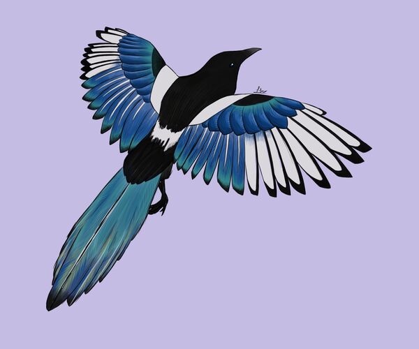 Young at Art -  Leonie aus Linz-Land