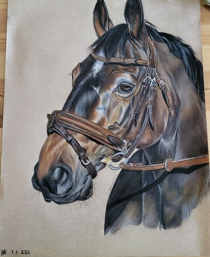 Young at Art -  Nora aus Urfahr-Umgebung