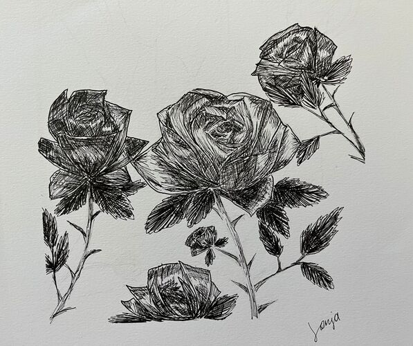 Young at Art -  Sonja aus Kirchdorf