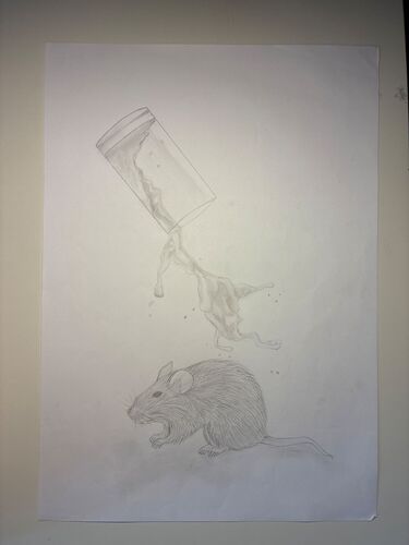 Young at Art -  Amelie aus Eferding