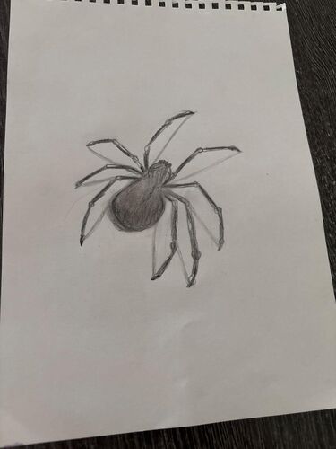 Young at Art -  Pia aus Kirchdorf