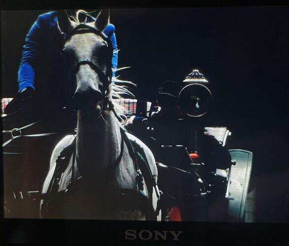 Young at Art -  Sarah aus Gmunden