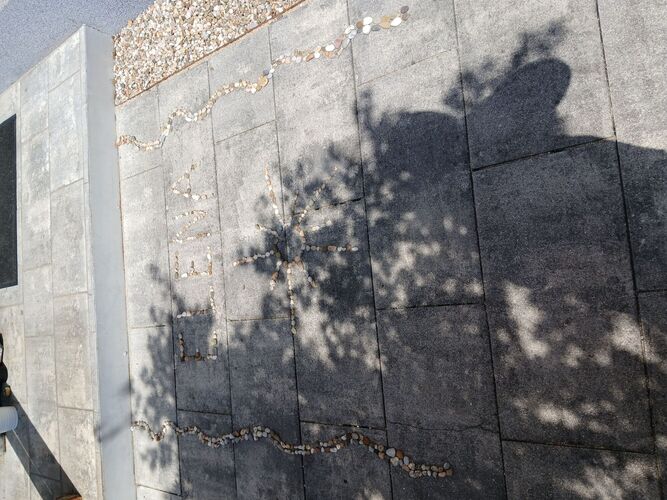 Young at Art -  Elena aus Linz