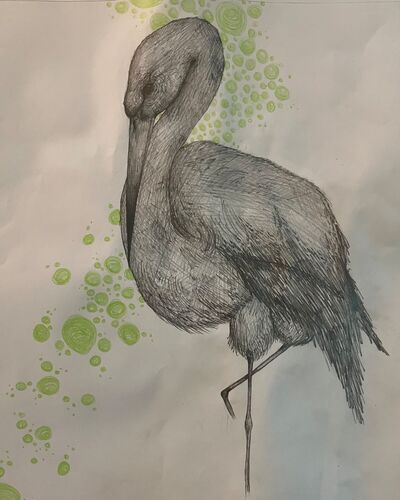 Young at Art -  Jasmin aus Grieskirchen