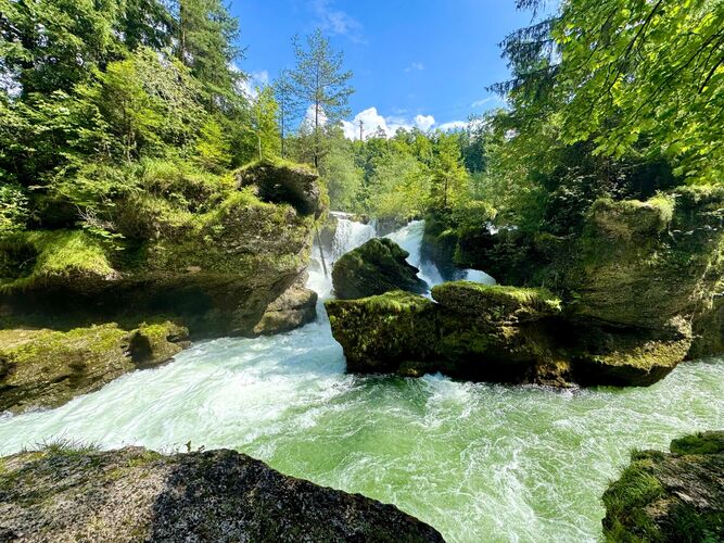 Young at Art -  Leni-Flora aus Vöcklabruck