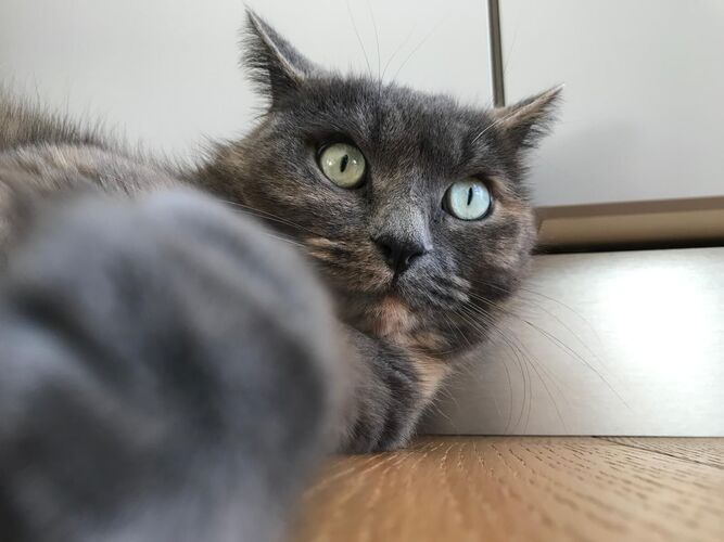 Young at Art -  Matteo aus Kirchdorf