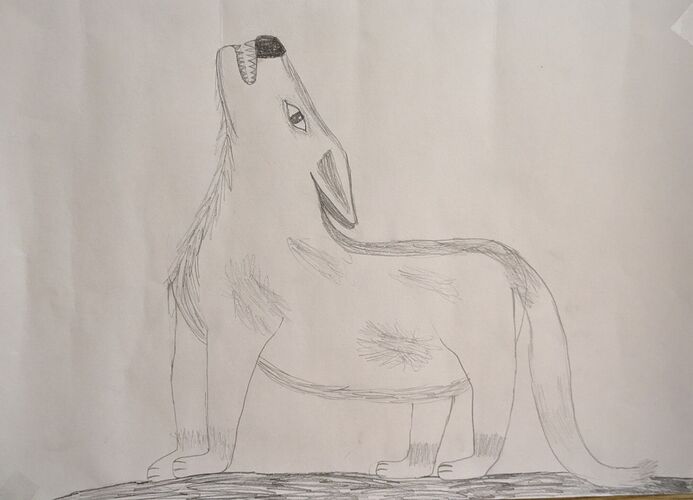 Young at Art -  Marie aus Urfahr-Umgebung