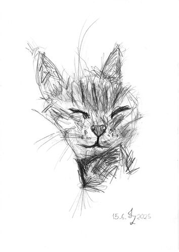 Young at Art -  Julian aus Wels