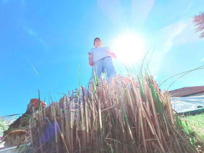 Young at Art -  Sebastian aus Vöcklabruck