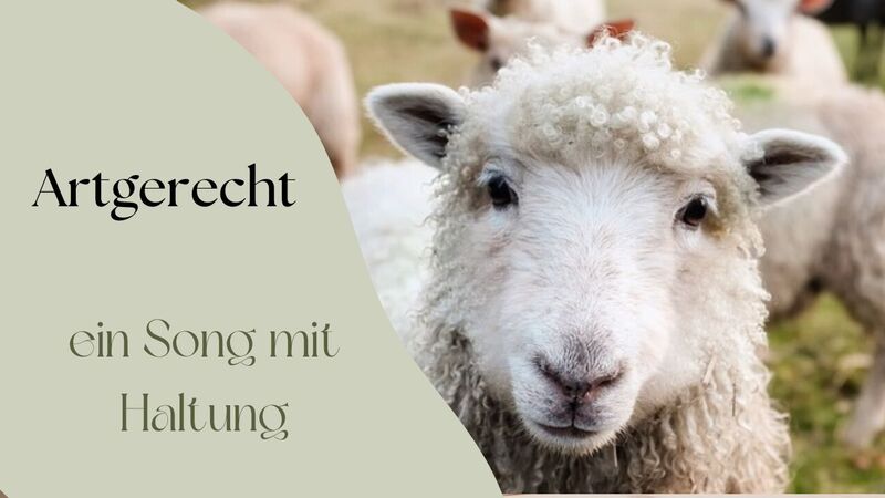 Young at Art -  Nicolas aus Vöcklabruck