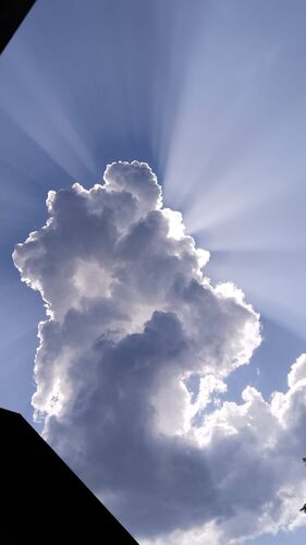 Young at Art -  Nicolas aus Vöcklabruck