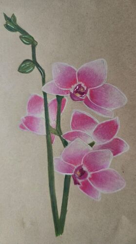 Young at Art -  Lara aus Gmunden