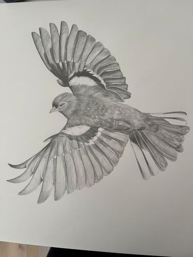 Young at Art -  Theresa aus Grieskirchen