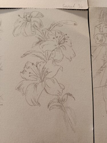 Young at Art -  Sarah aus Linz-Land