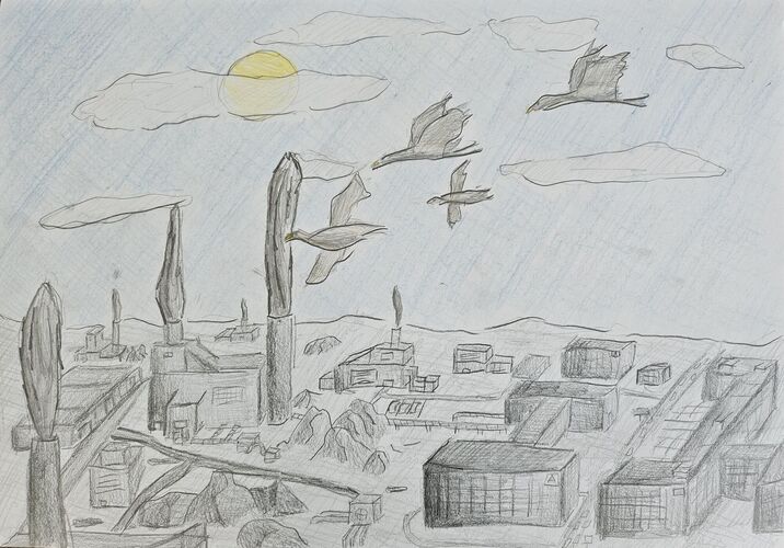 Young at Art -  Anton aus Linz