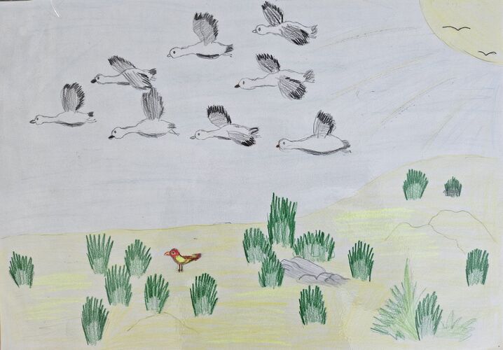 Young at Art -  Alexej aus Linz-Land