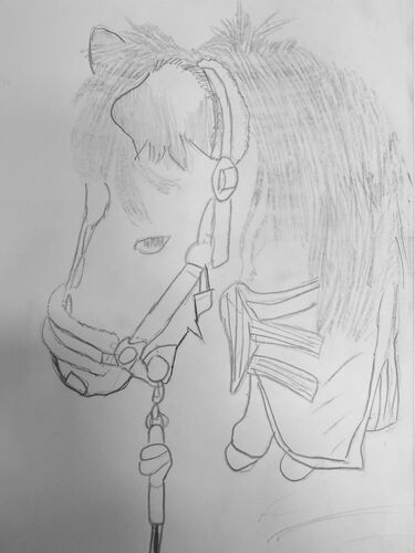 Young at Art -  Hannah aus Gmunden