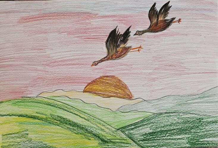 Young at Art -  Vera aus Linz-Land