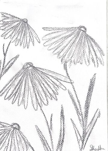 Young at Art -  Sophie aus Ried