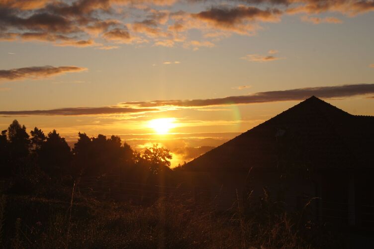 Young at Art -  Laurin aus Freistadt