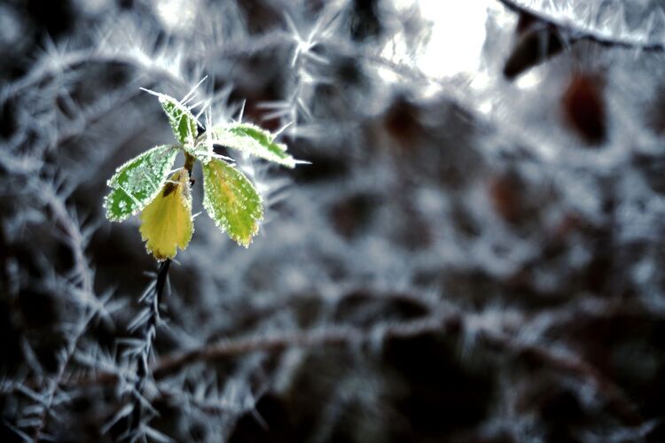 Young at Art -  Vera aus Linz-Land