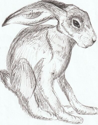 Young at Art -  Leonie aus Schärding