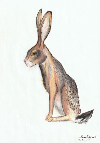 Young at Art -  Leonie aus Schärding