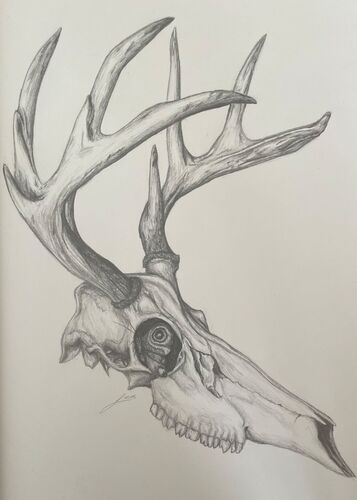 Young at Art -  Lea aus Linz-Land