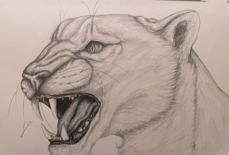 Young at Art -  Lea aus Linz-Land