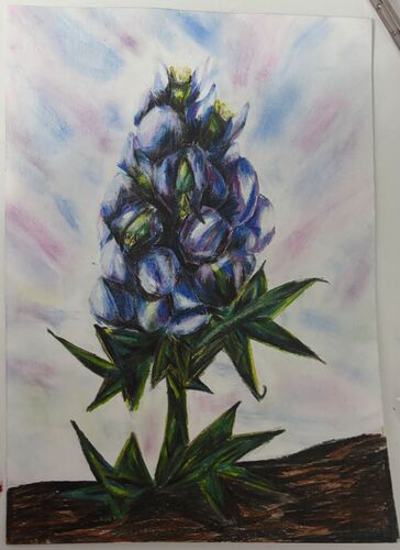 Young at Art -  Naomi aus Schärding