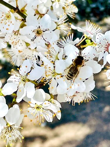 Young at Art -  Anja aus Gmunden