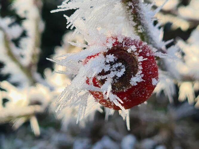 Young at Art -  Paulina aus Gmunden