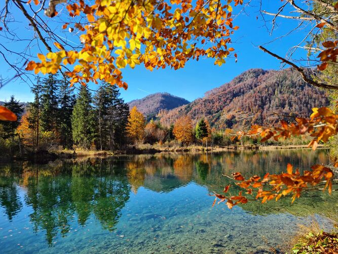 Young at Art -  Paulina aus Gmunden