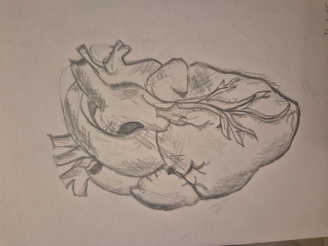 Young at Art -  Laura Fabienne aus Perg