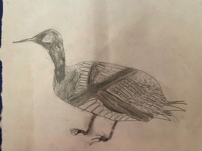 Young at Art -  Matthias aus Urfahr-Umgebung