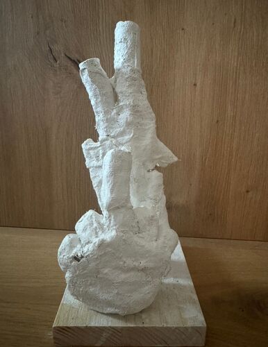 Young at Art - Maximilian aus Linz