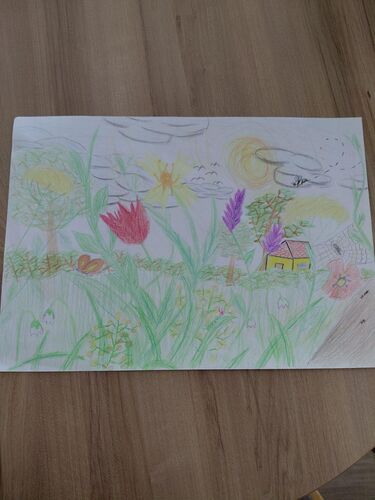 Young at Art - Harald aus Braunau