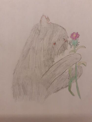 Young at Art - Hanna aus Ried