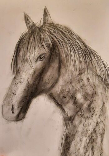 Young at Art - David aus Freistadt